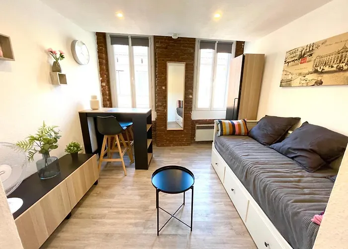 Superbe Studio, Neuf, St Cyprien Appartement